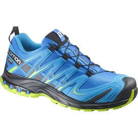 Salomon Xa Pro 3d Gtx