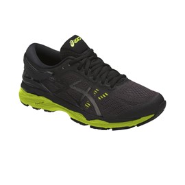 Asics Gel Kayano 24