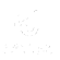 DEUTER