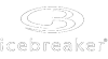 ICEBREAKER