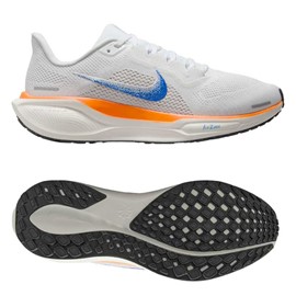 Nike Pegasus 41 DONNA