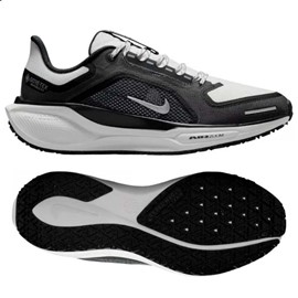 Nike Pegasus 41 Gtx DONNA