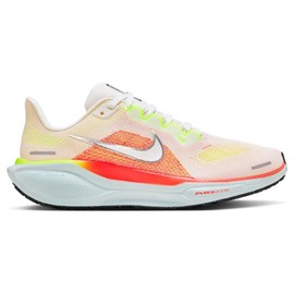 Nike Pegasus 41 DONNA